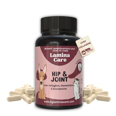 Lamina Care - Complement Alimentaire Chien Articulation