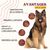 Lamina Care - Complement Alimentaire Chien Articulation