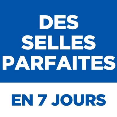 HILL'S -   chien SCIENCE PLAN ADULT PERFECT DIGESTION LARGE