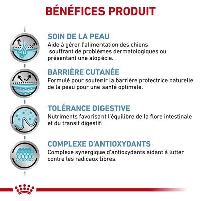 ROYAL CANIN - Tierärztliche Hautpflege für kleine Hunde, Trockenfutter - R
