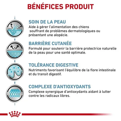 ROYAL CANIN - Tierärztliche Hautpflege für kleine Hunde, Trockenfutter - R