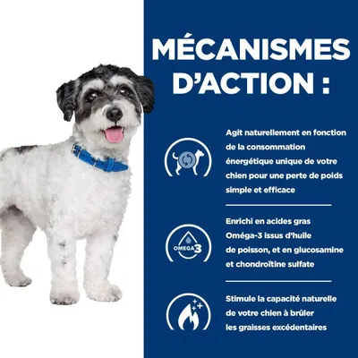 HILL'S - Trockenfutter für ausgewachsene Hunde - Rezeptdiäten J/D Mini Met