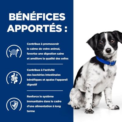 HILL'S - Kroketten-Hundefutter für Erwachsene, verschreibungspflichtige Di