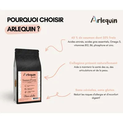 Arlequin - CROQUETTE CHIEN  SANS CÉRÉALES   Saumon d'Ecosse