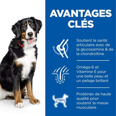 HILL'S - SCIENCE PLAN HUNDEKISSEN FÜR AUSgewachsene GROSSE HÜHNCHEN - HILL