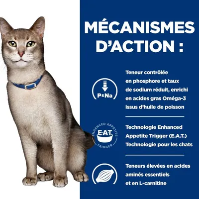 HILL'S -  CHAT ADULT PRESCRIPTION DIETS K/D KIDNEY CARE SAUMON