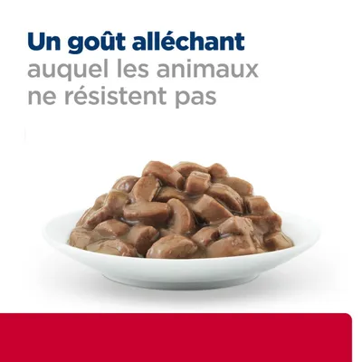 HILL'S -  CHAT ADULT PRESCRIPTION DIETS C/D URINARY STRESS SAUMON