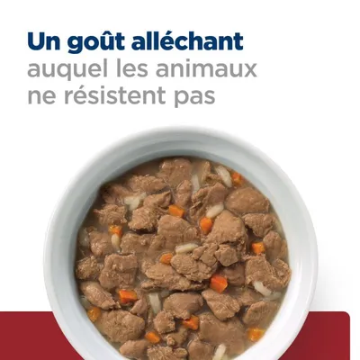 HILL'S -  CHAT ADULT PRESCRIPTION DIETS I/D DIGESTIVE CARE (mijoté)