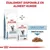 ROYAL CANIN -   chat VET CAT SKIN COAT