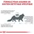 ROYAL CANIN -   chat VET CAT SKIN COAT