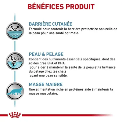 ROYAL CANIN -   chat VET CAT SKIN COAT