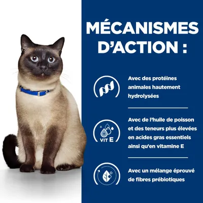 Hill's Croquettes pour chat Adult Prescription Diet Z/D Food Hill's Croquettes pour chat Adult Prescription Diet Z/D Food