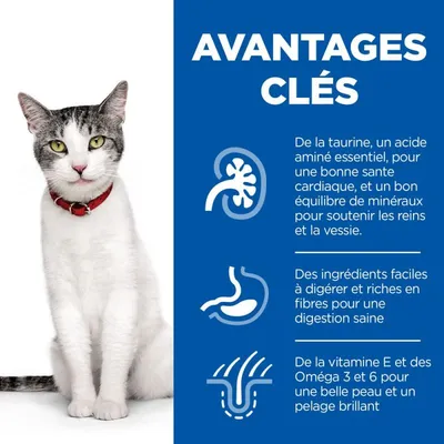 HILL'S -   CHAT SCIENCE PLAN ADULT SENIOR 11+ POULET