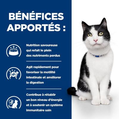 HILL'S -  CHAT ADULT PRESCRIPTION DIETS I/D DIGESTIVE CARE SAUMON