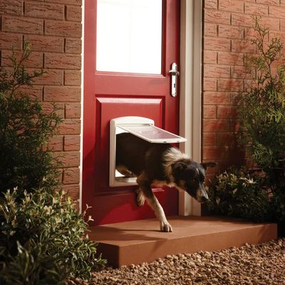 Porte à 2 Voies pour Chiens Entrée Sortie Chiot Animaux de Compagnie