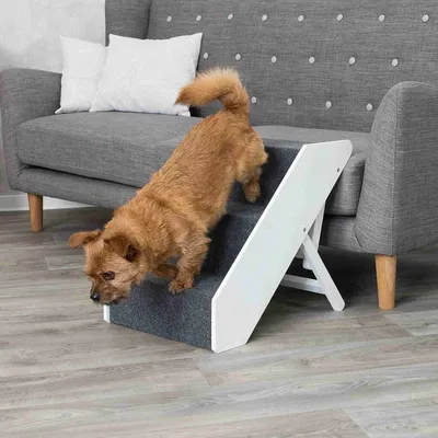TRIXIE Escalier pour animaux de compagnie réglable en hauteur MDF TRIXIE Escalier pour animaux de compagnie réglable en hauteur MDF