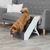 escalier pour animaux de compagnie