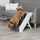 escalier pour animaux de compagnie