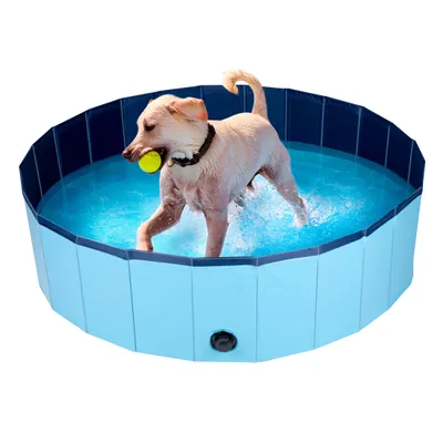 maxxpro Piscine Chien 120 CM - Bleu