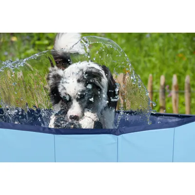 maxxpro Piscine Chien 120 CM - Bleu