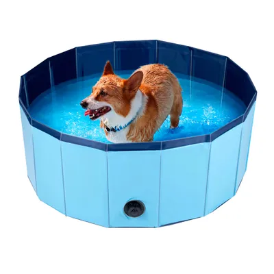 maxxpro Piscine Chiens Pliable, ⌀ 80 cm