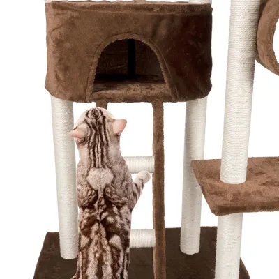 maxxpro Arbre à Chat 165 CM