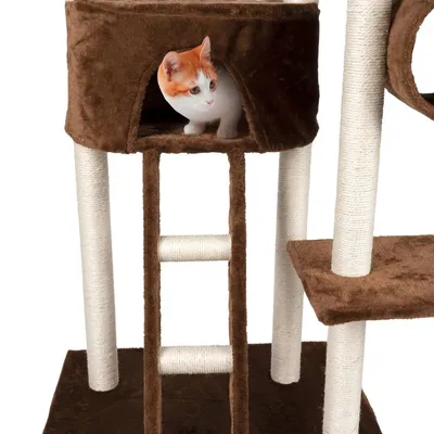 maxxpro Arbre à Chat 165 CM
