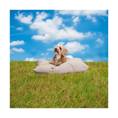 maxxpro Coussin S Beige