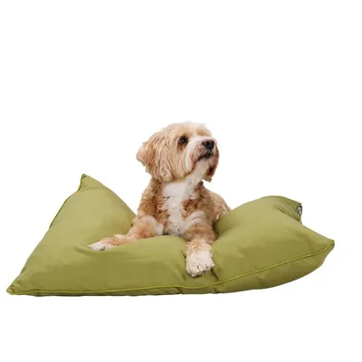 maxxpro Panier Chien Vert 60x80cm maxxpro Panier Chien Vert 60x80cm
