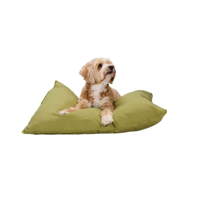 maxxpro Panier Chien Vert 60x80cm