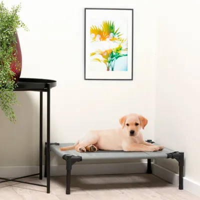 maxxpro Lit pour Chien sur Pieds