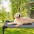 maxxpro Lit pour Chien sur Pieds