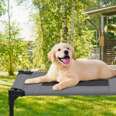 maxxpro Lit pour Chien sur Pieds