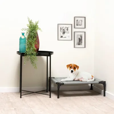 maxxpro Lit pour Chien sur Pieds