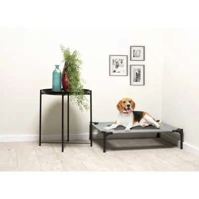 maxxpro Lit pour Chien sur Pieds