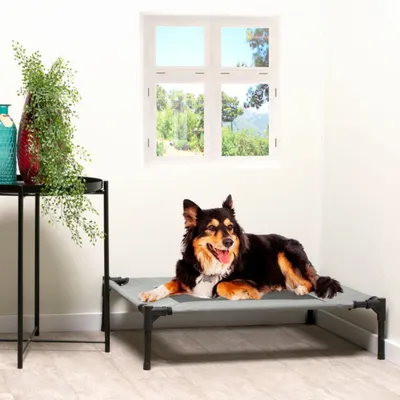 maxxpro Lit pour Chien sur Pieds maxxpro Lit pour Chien sur Pieds