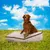 maxxpro Lit pour chien M - Coussin pour chien 70x100 cm - Beige