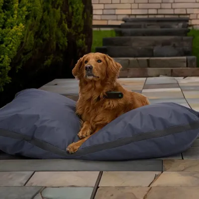 maxxpro Panier Chien Gris