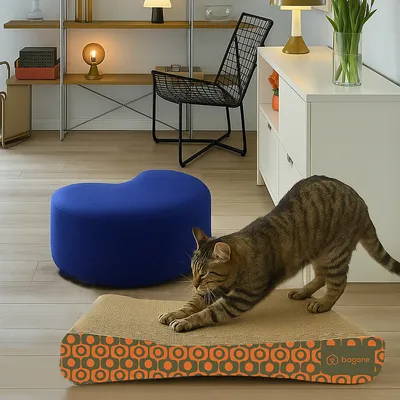 Bagane Griffoir chat rétro kaki et orange, Louxor