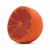 DISPLAY DE JOUETS POUR CHIEN VEGGIE