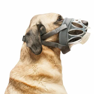 MUSELIERE BASKERVILLE INVISA MUSELIERE BASKERVILLE INVISA