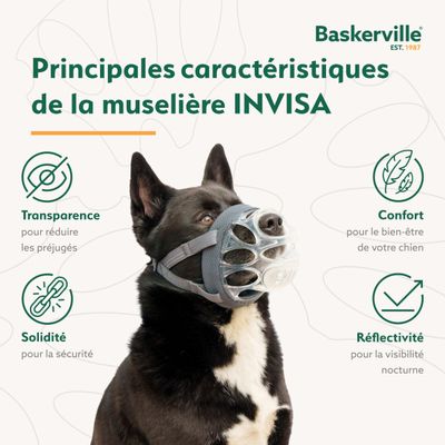 MUSELIERE BASKERVILLE INVISA