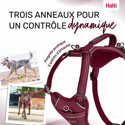 HARNAIS ANATOMY HALTI MAGENTA