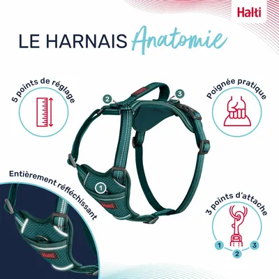 HARNAIS ANATOMY HALTI VERT
