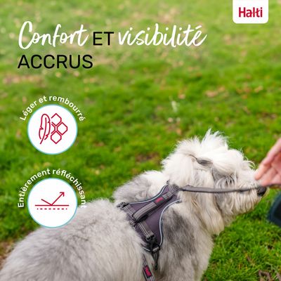 HARNAIS ANATOMY HALTI GRIS
