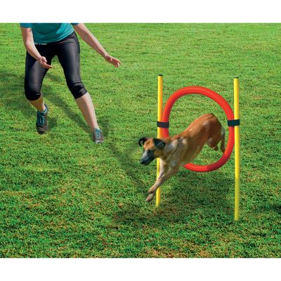 SET AGILITY 2 PIECES -BATON ET CERCEAU
