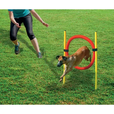 SET AGILITY 2 PIECES -BATON ET CERCEAU