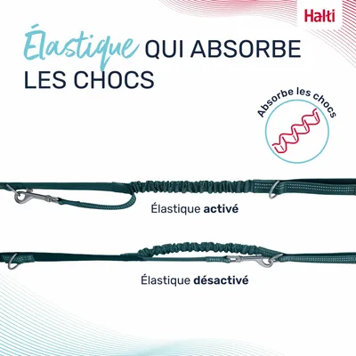 LAISSE MULTI POSITION ANATOMY HALTI VERT