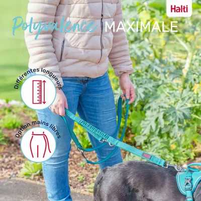 LAISSE MULTI POSITION ANATOMY HALTI VERT