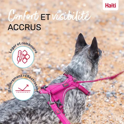 HARNAIS ANATOMY HALTI MAGENTA